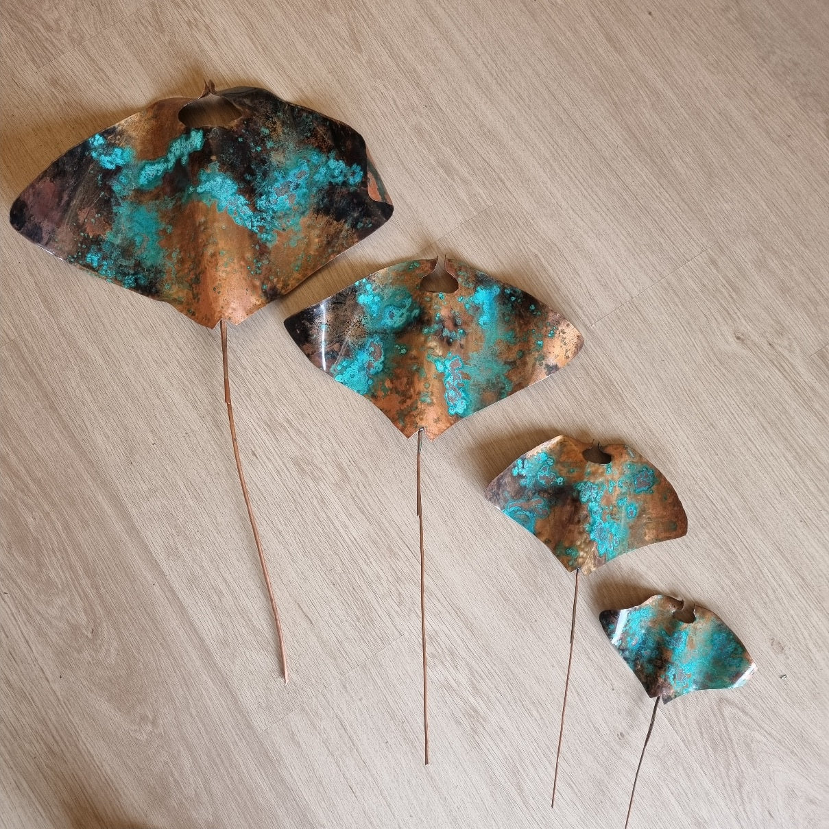 Medium Copper Ray