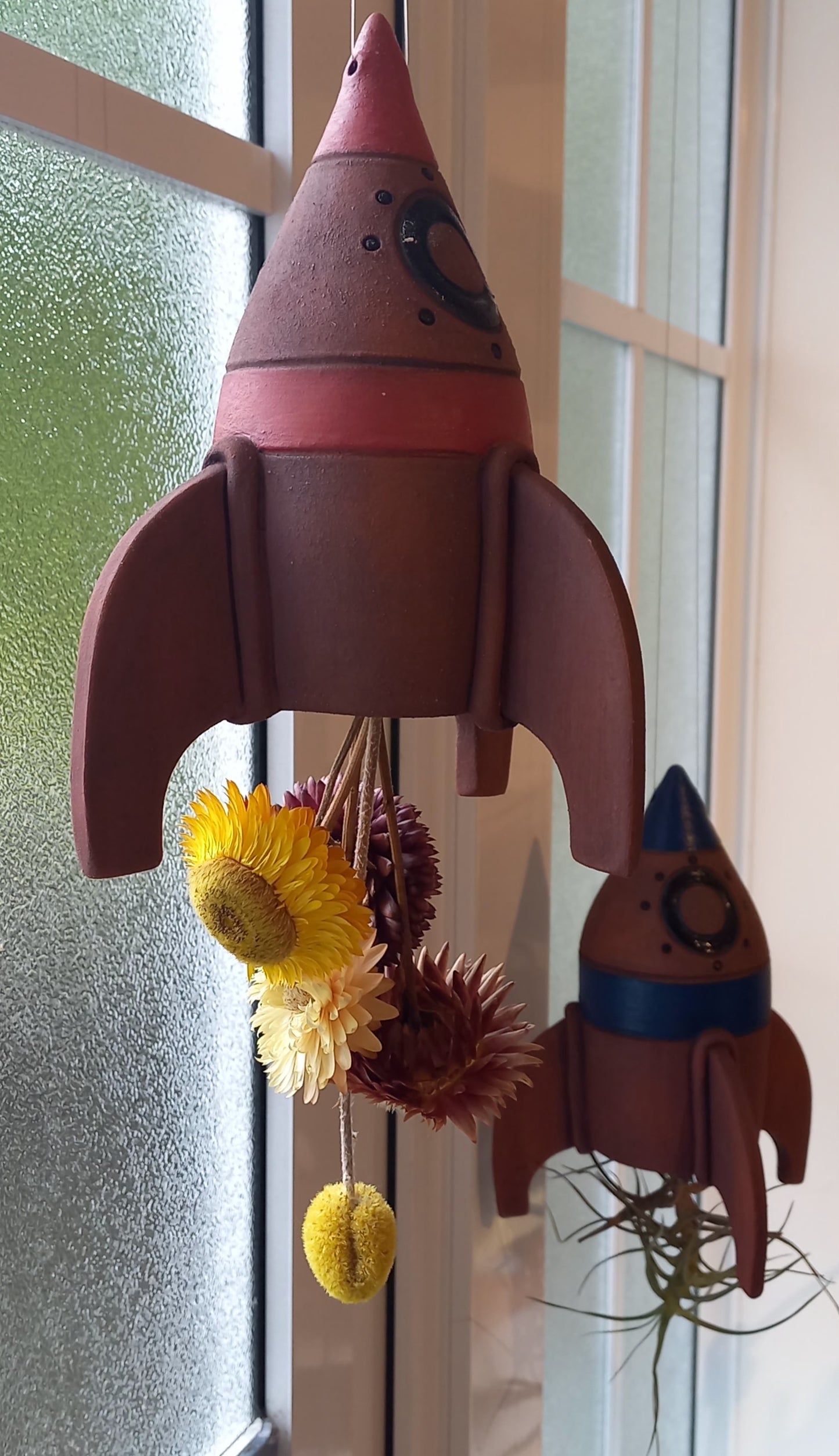 Air-Plant Rocket