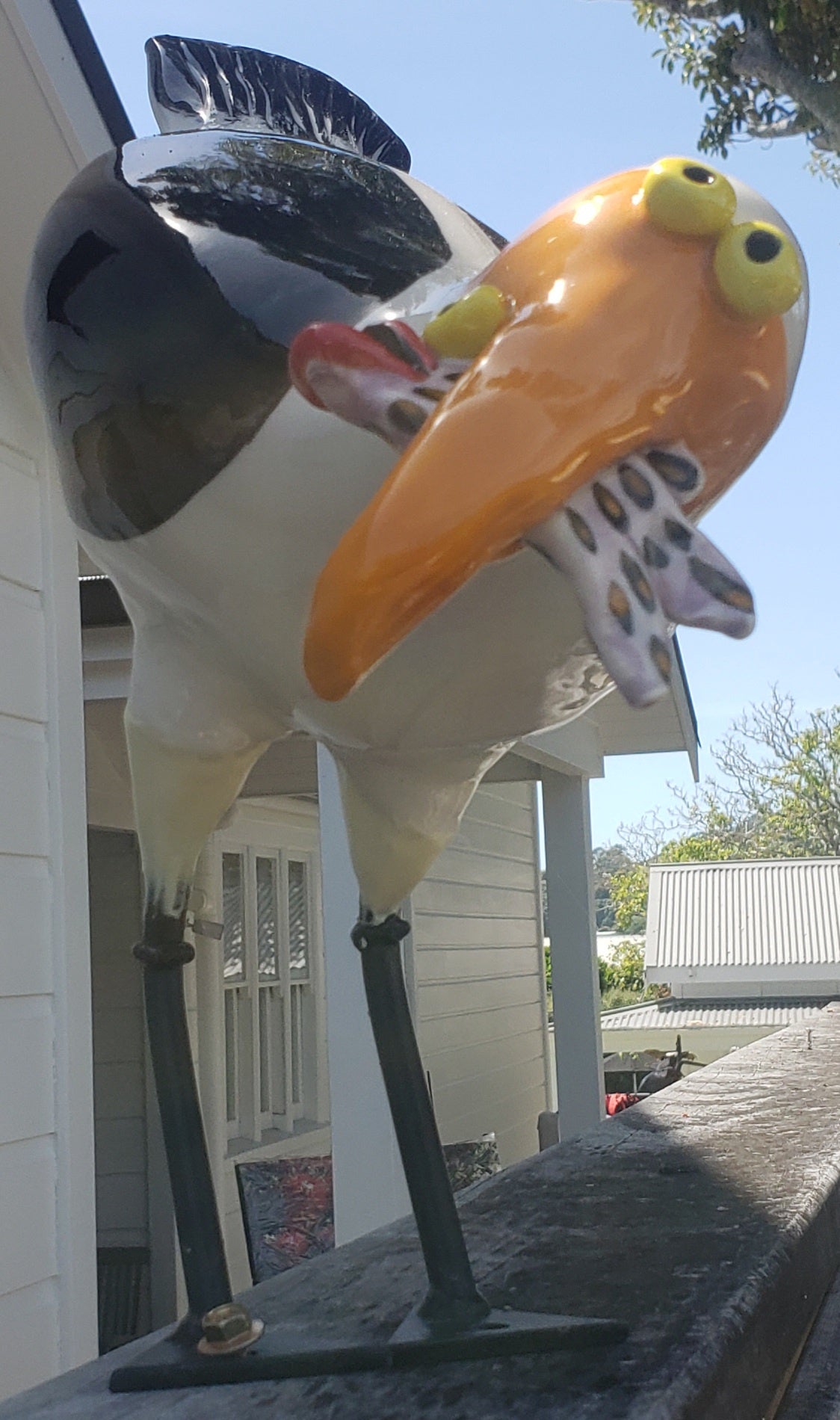 seagull fish in mouth