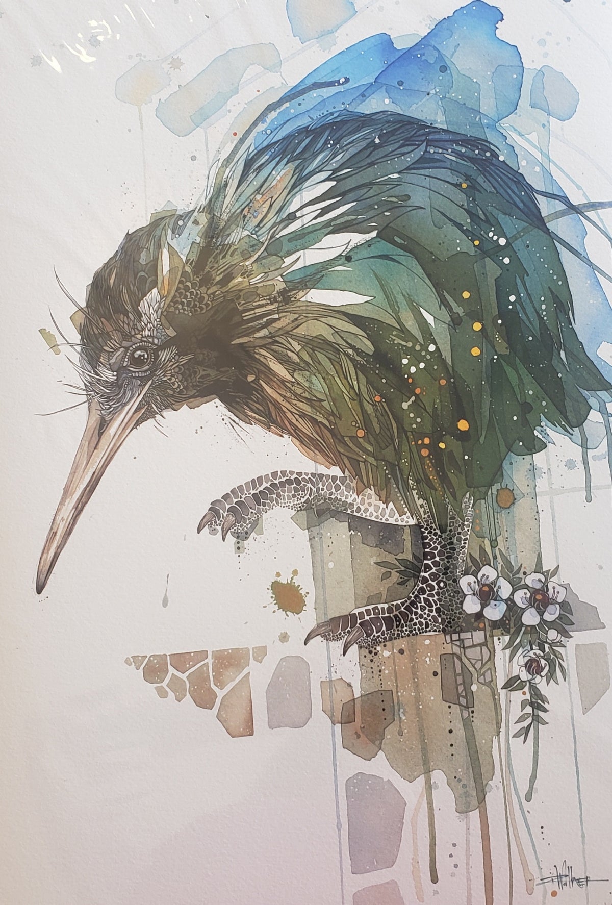 Kiwi Capital