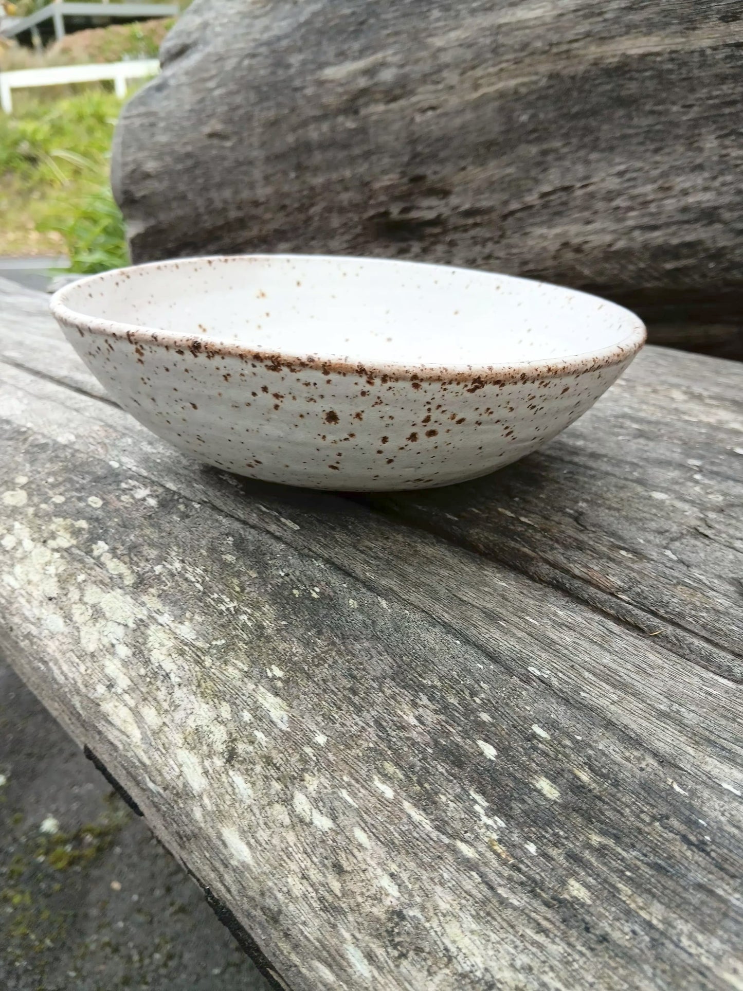 Large Speckle Bowl 2