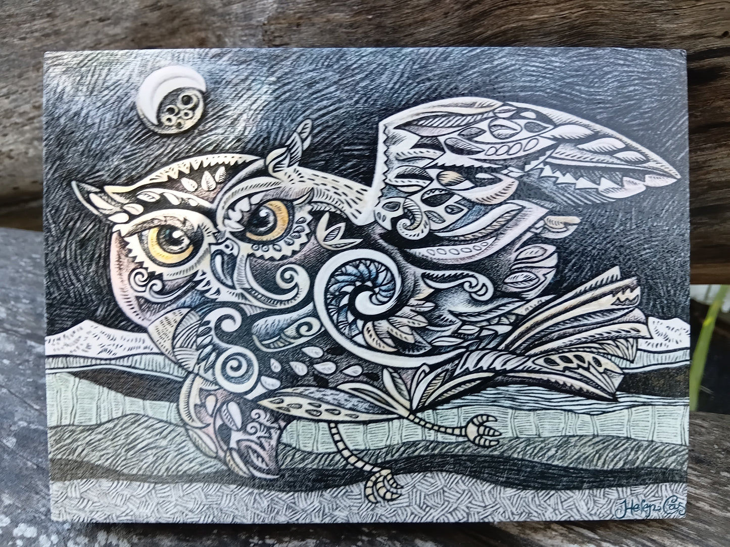 Ruru Fly By Night