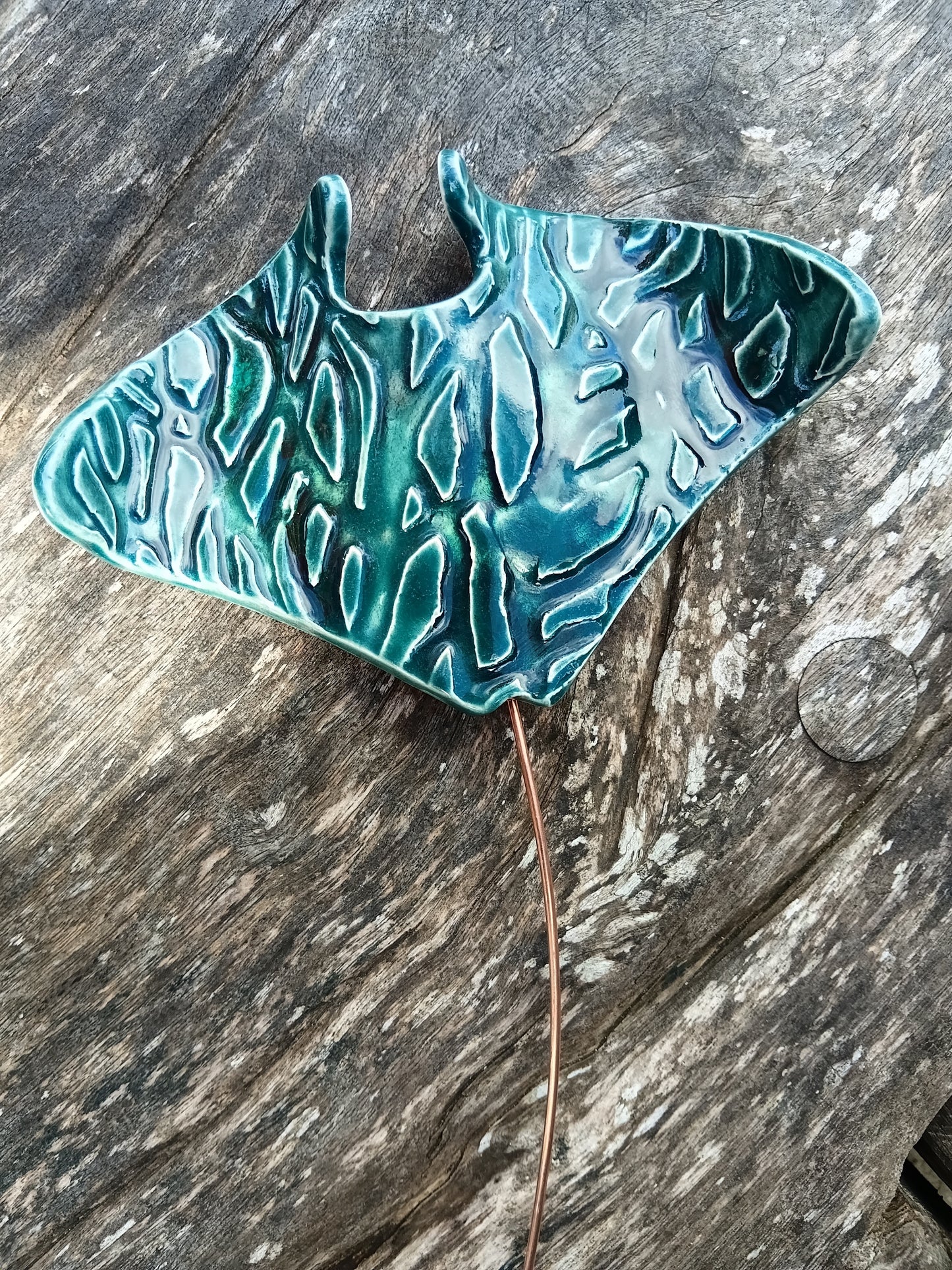 Ceramic Rays - Med
