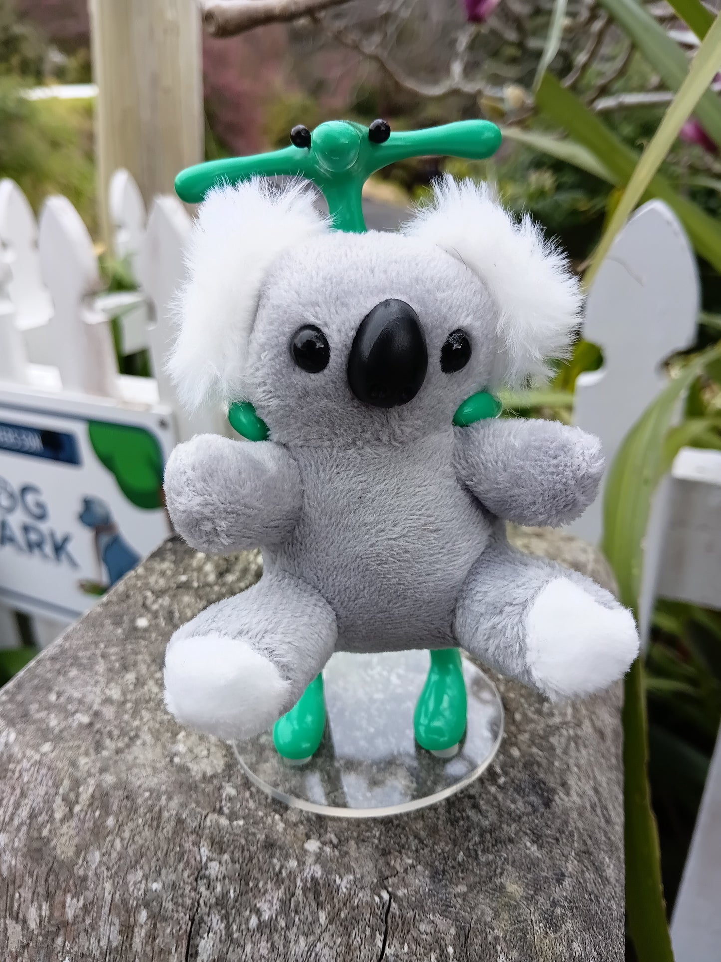Grubbs-Koala Bear