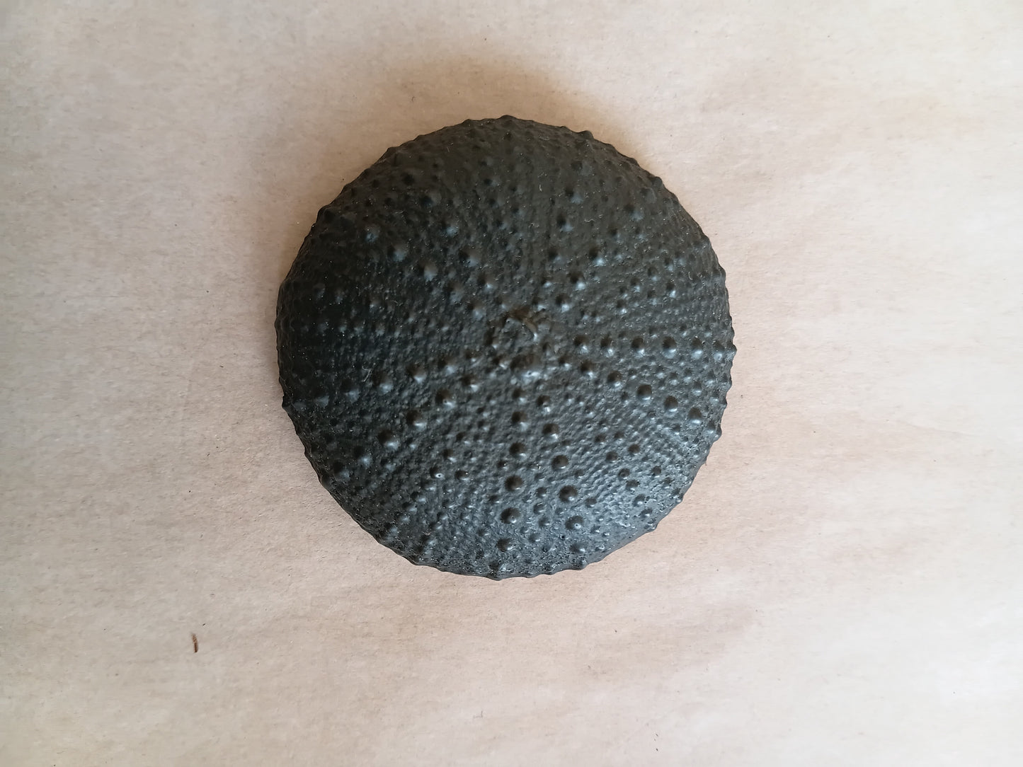 Bronze Small wall mounted Kina