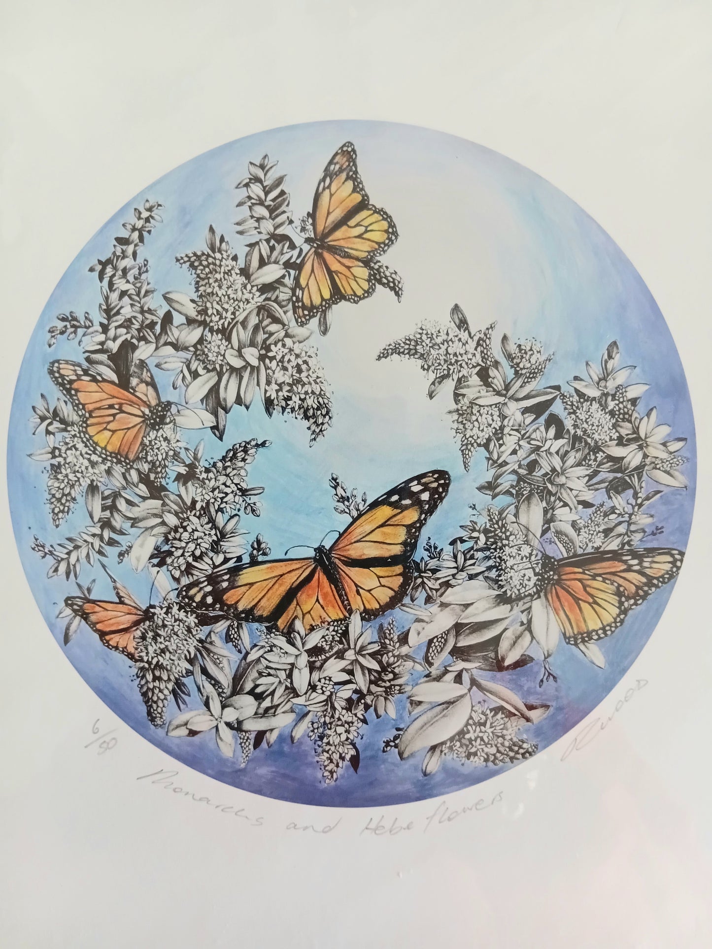 Monarchs and Hebe