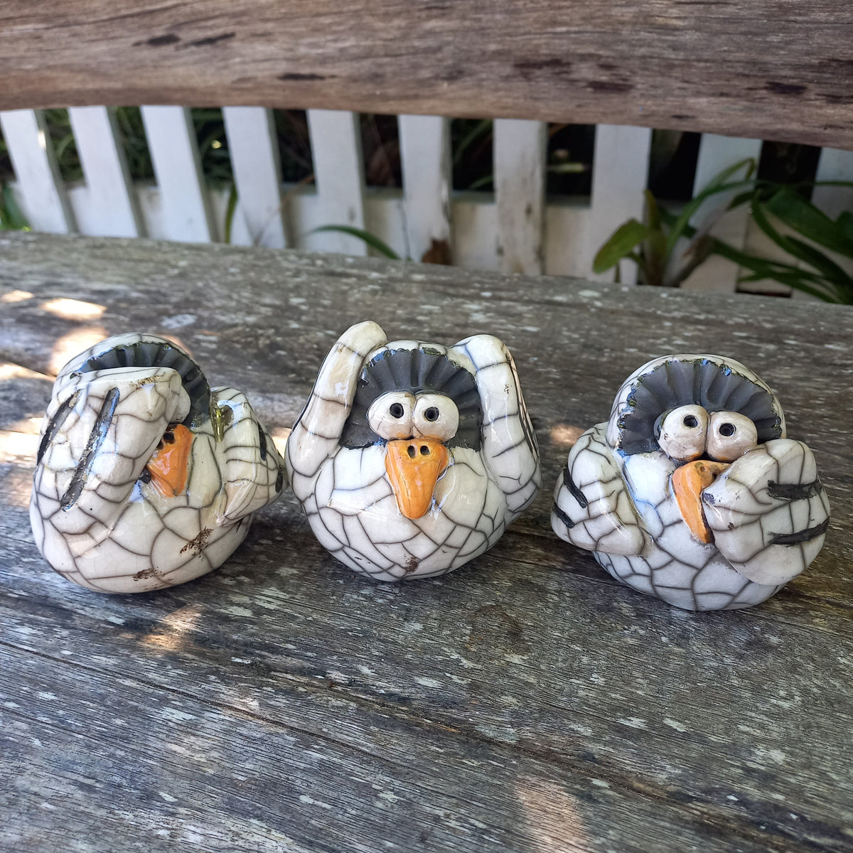 Owls Speak Hear and See No Evil