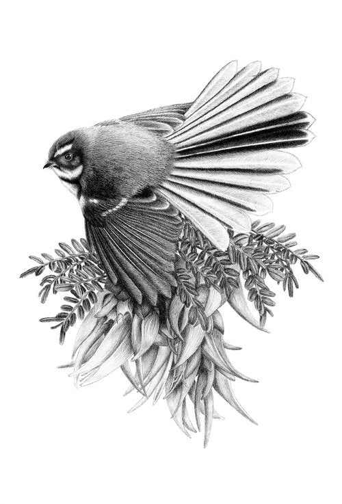 A3 A Pretty Perch 4/60