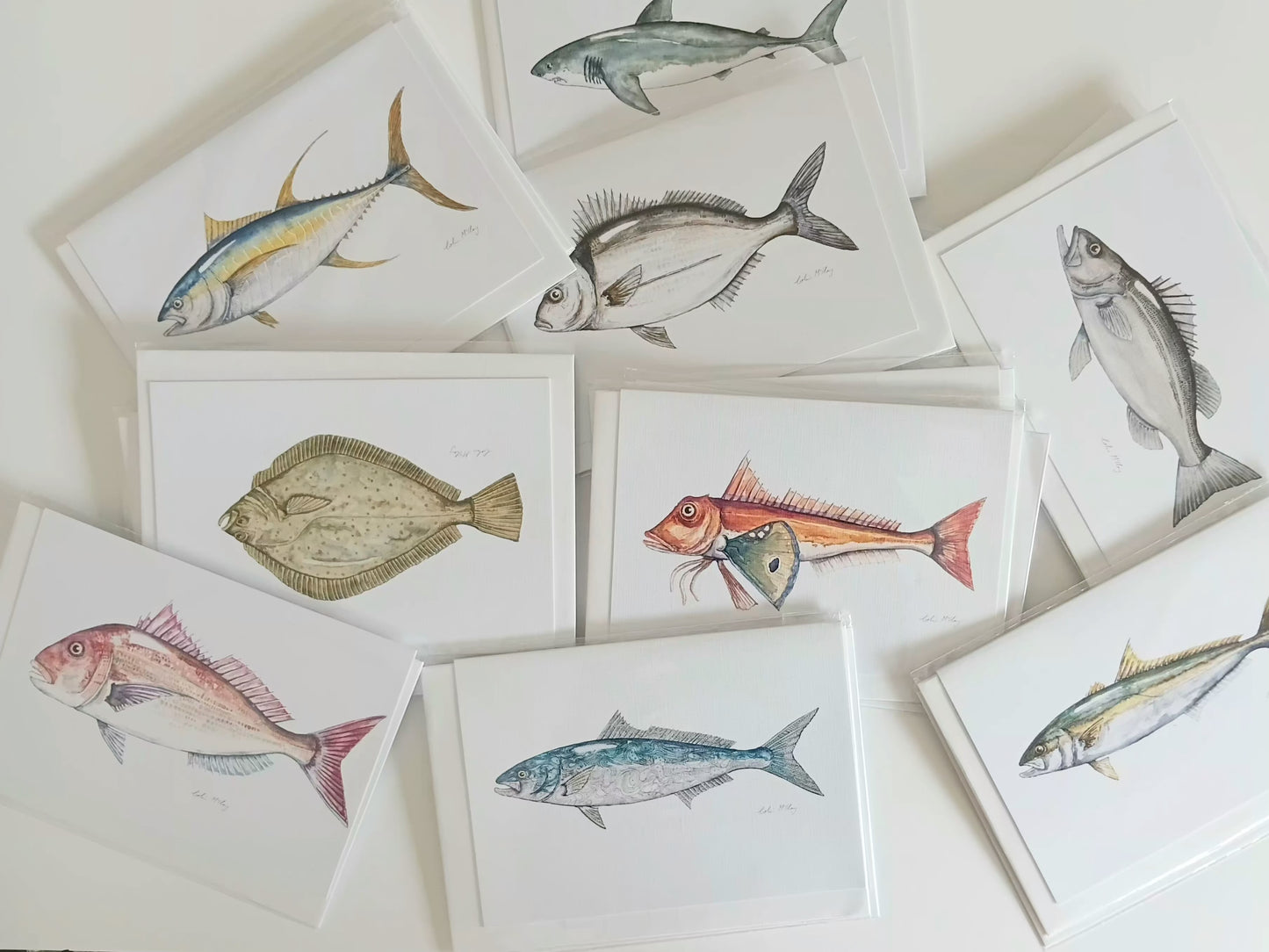 Water Colour Fish Cards - Variety