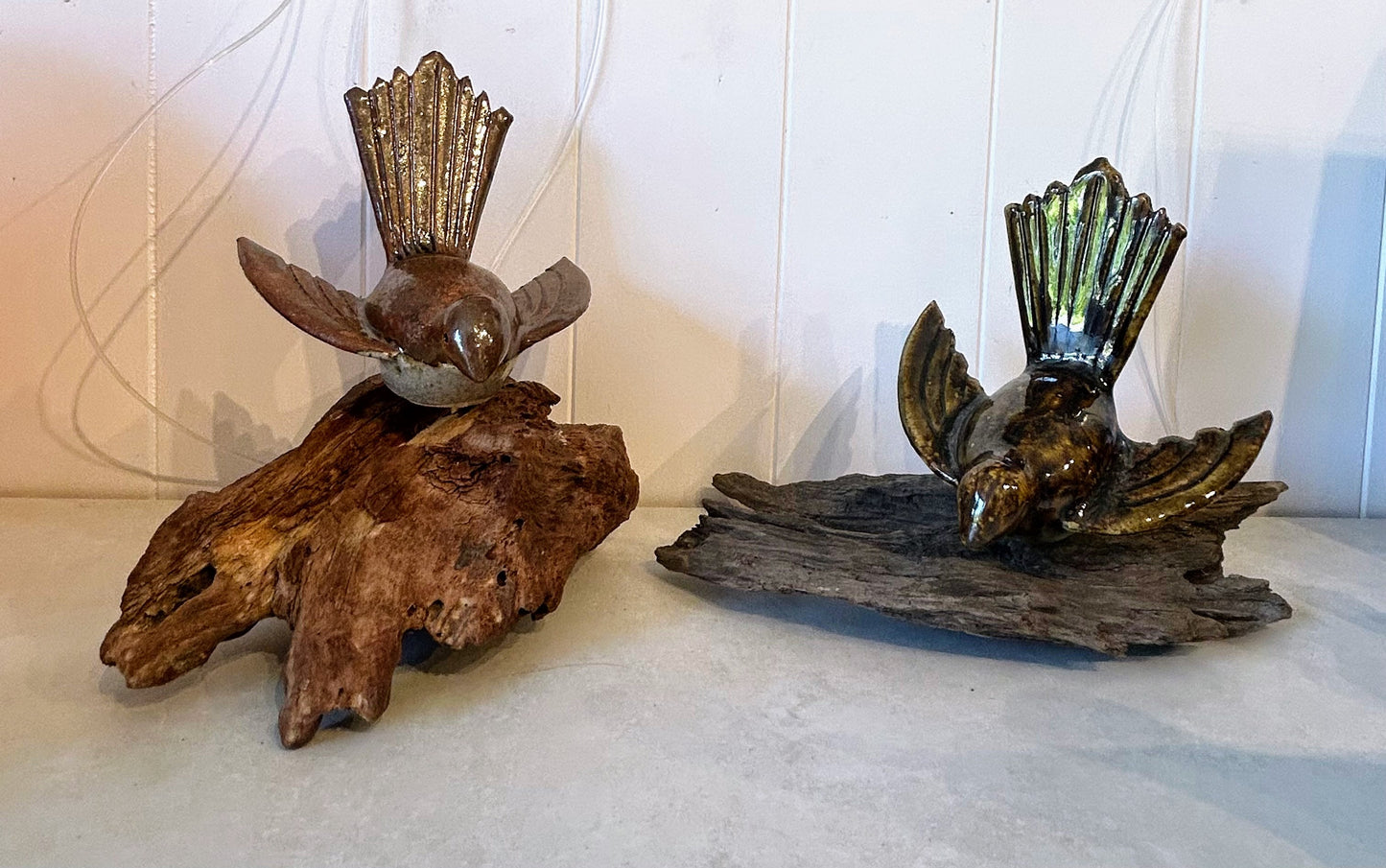 Fantail on wood