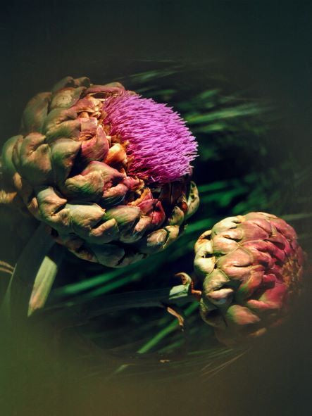Artichokes