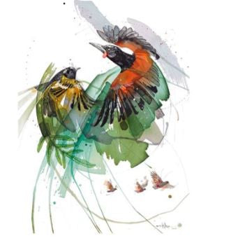 Sanctuary Hihi & Saddleback/Tieke