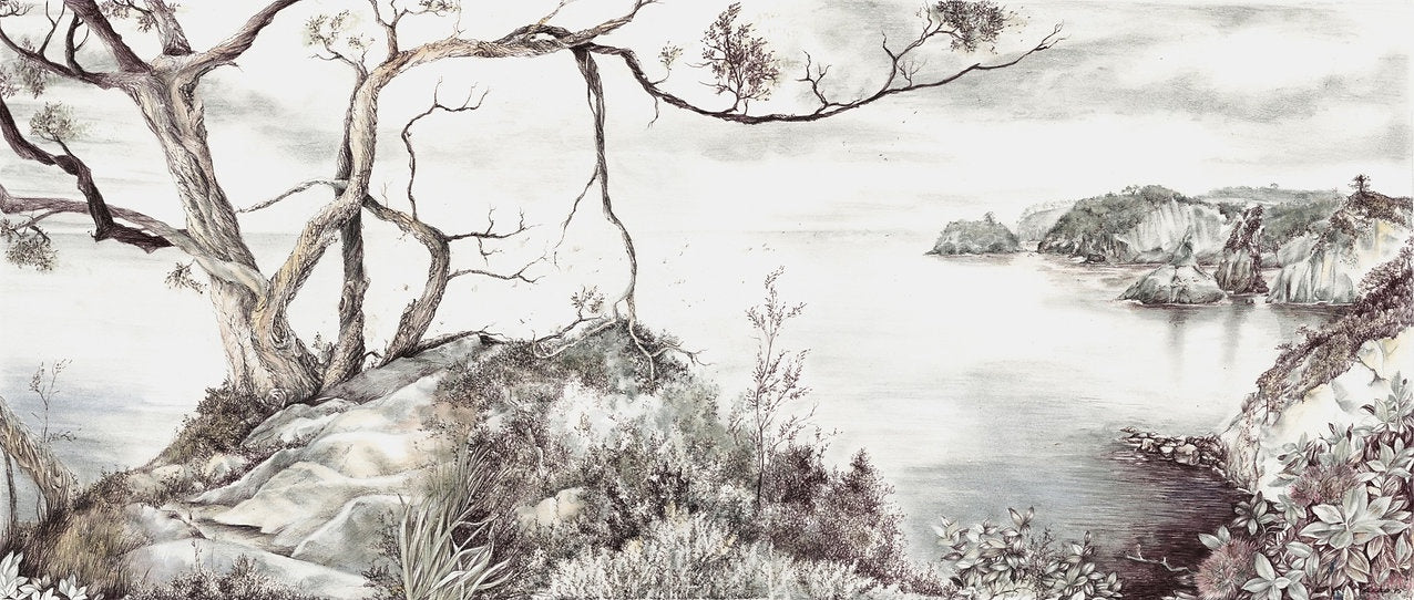 Remote Coast 12/50