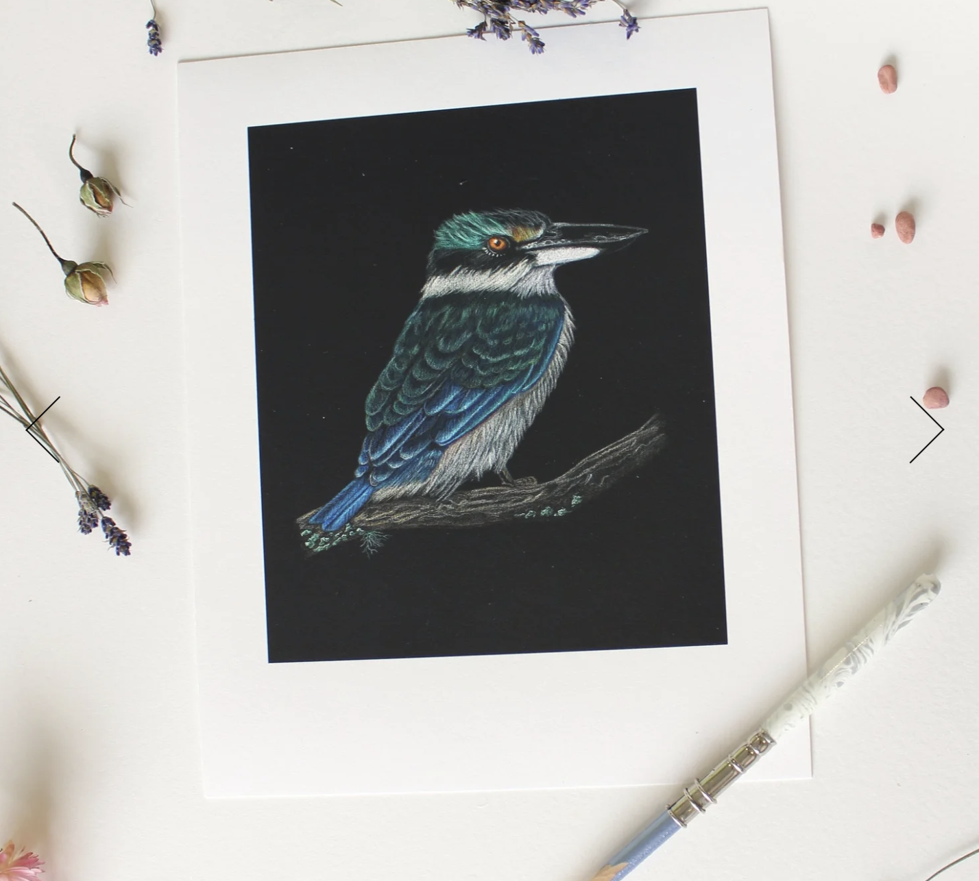 Patience Kingfisher