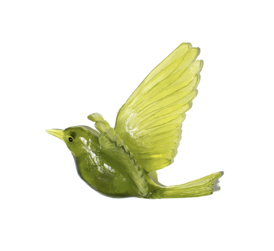 Stitchbird - Olive