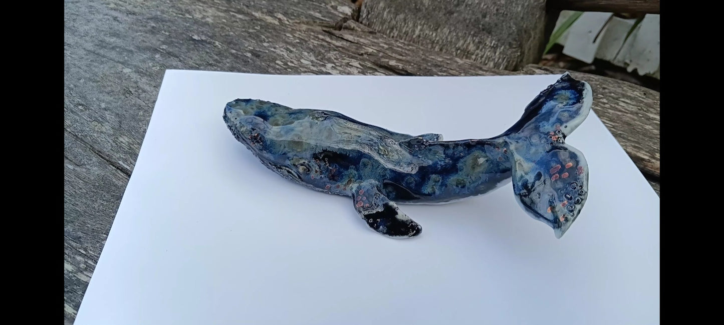 Large Blue Whale