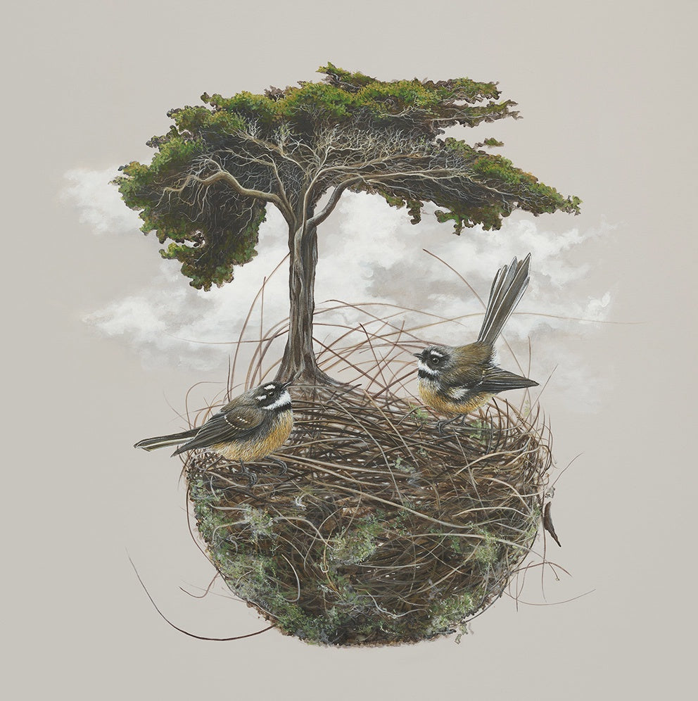 Nest 8/30