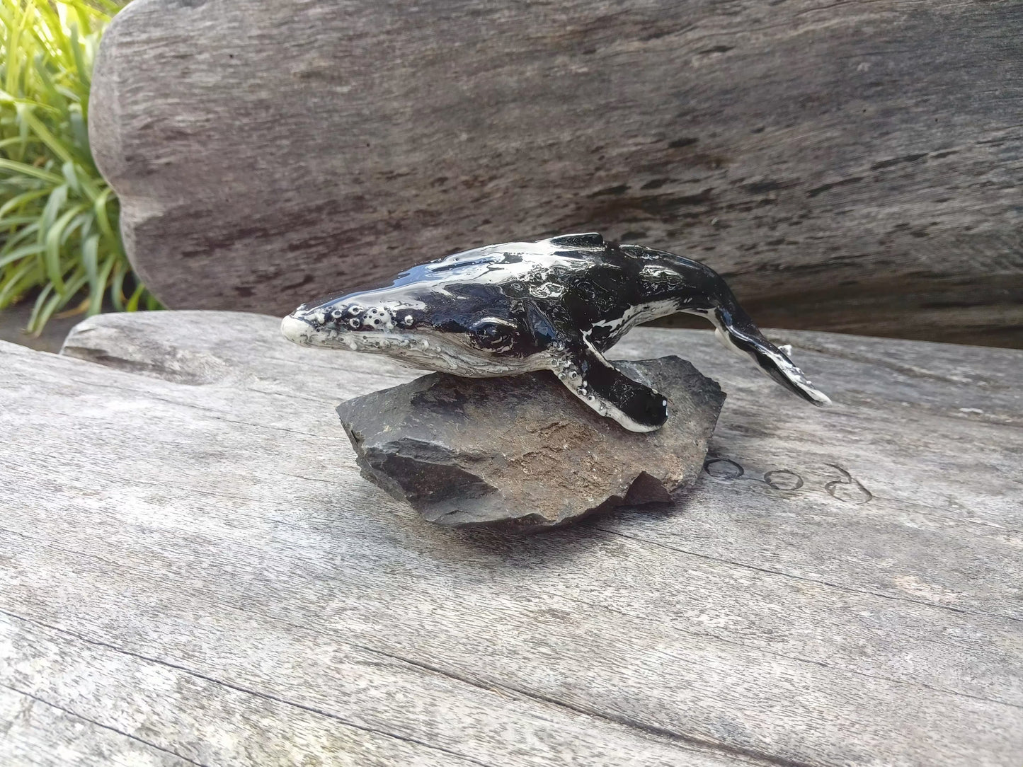 Black Whale on Rock