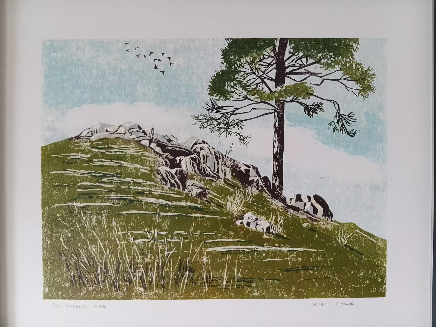 Purangi Pine Framed watercolour