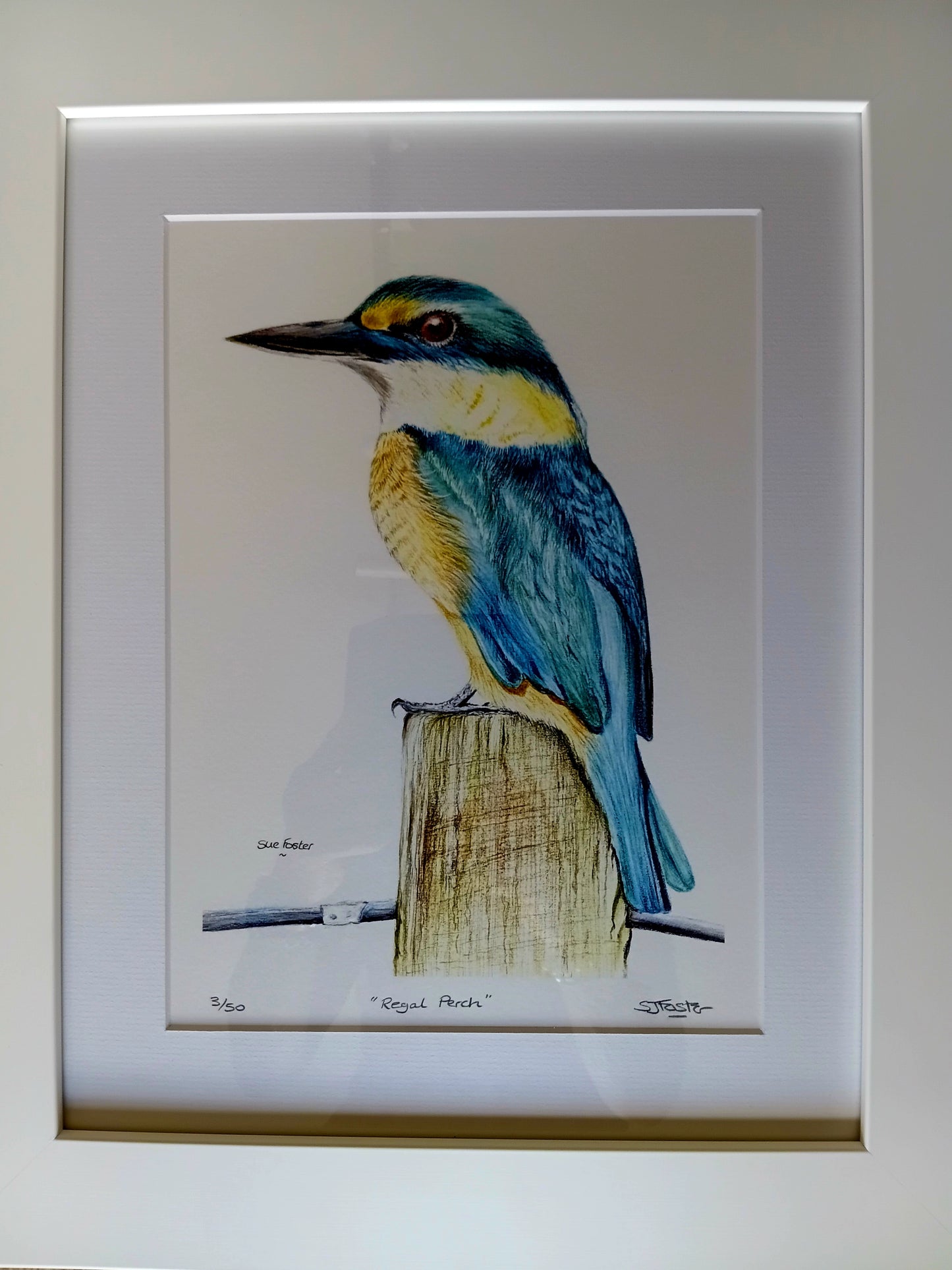 Regar Perch Print Framed