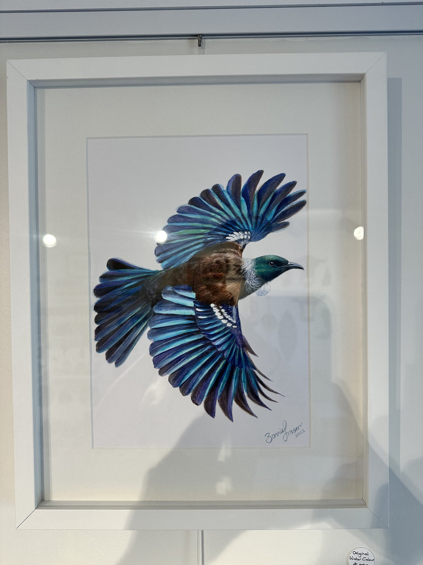 Watercolour Tui