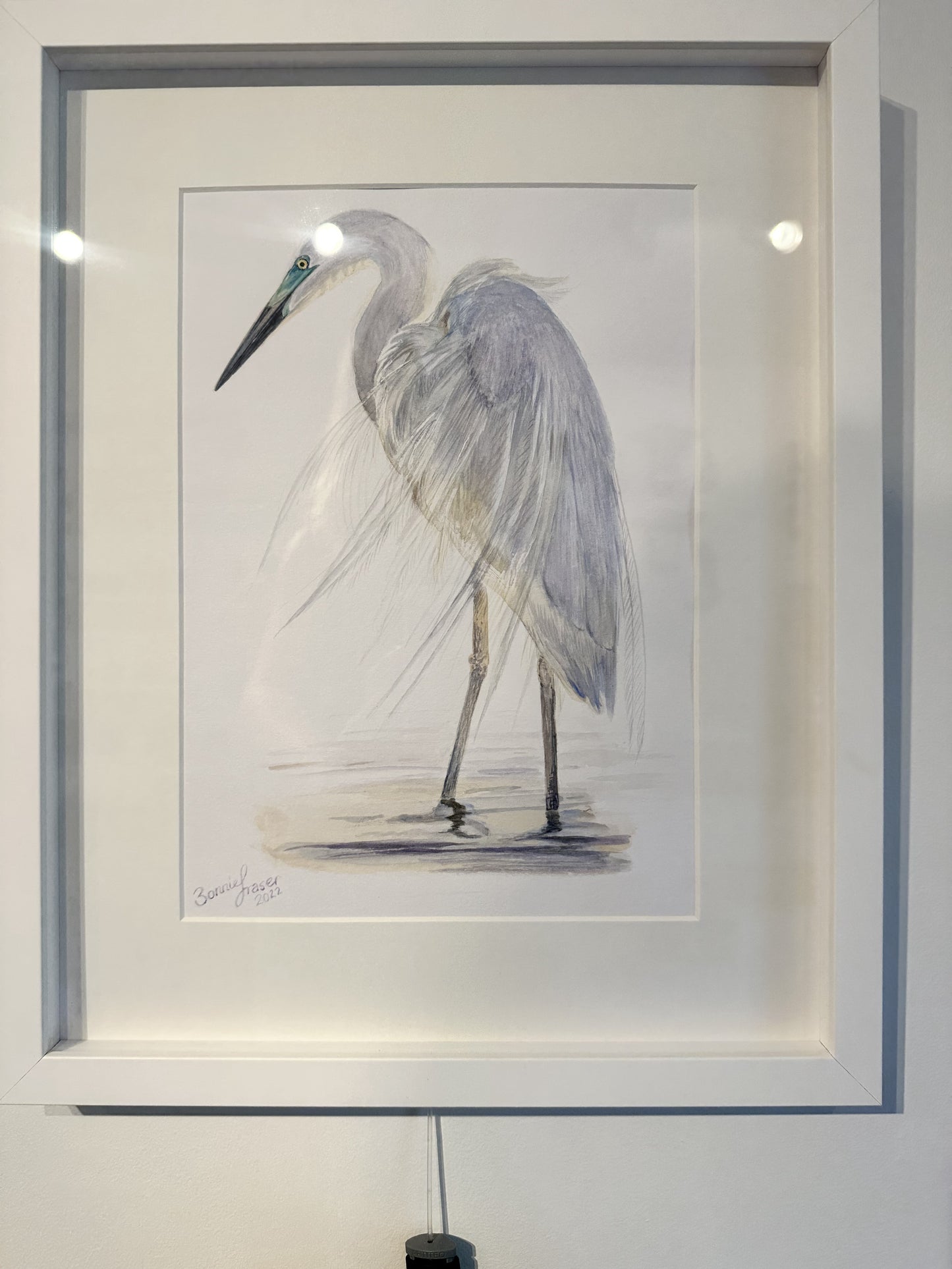 Watercolour Heron