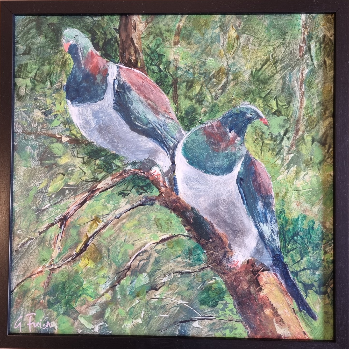 Kereru Couple