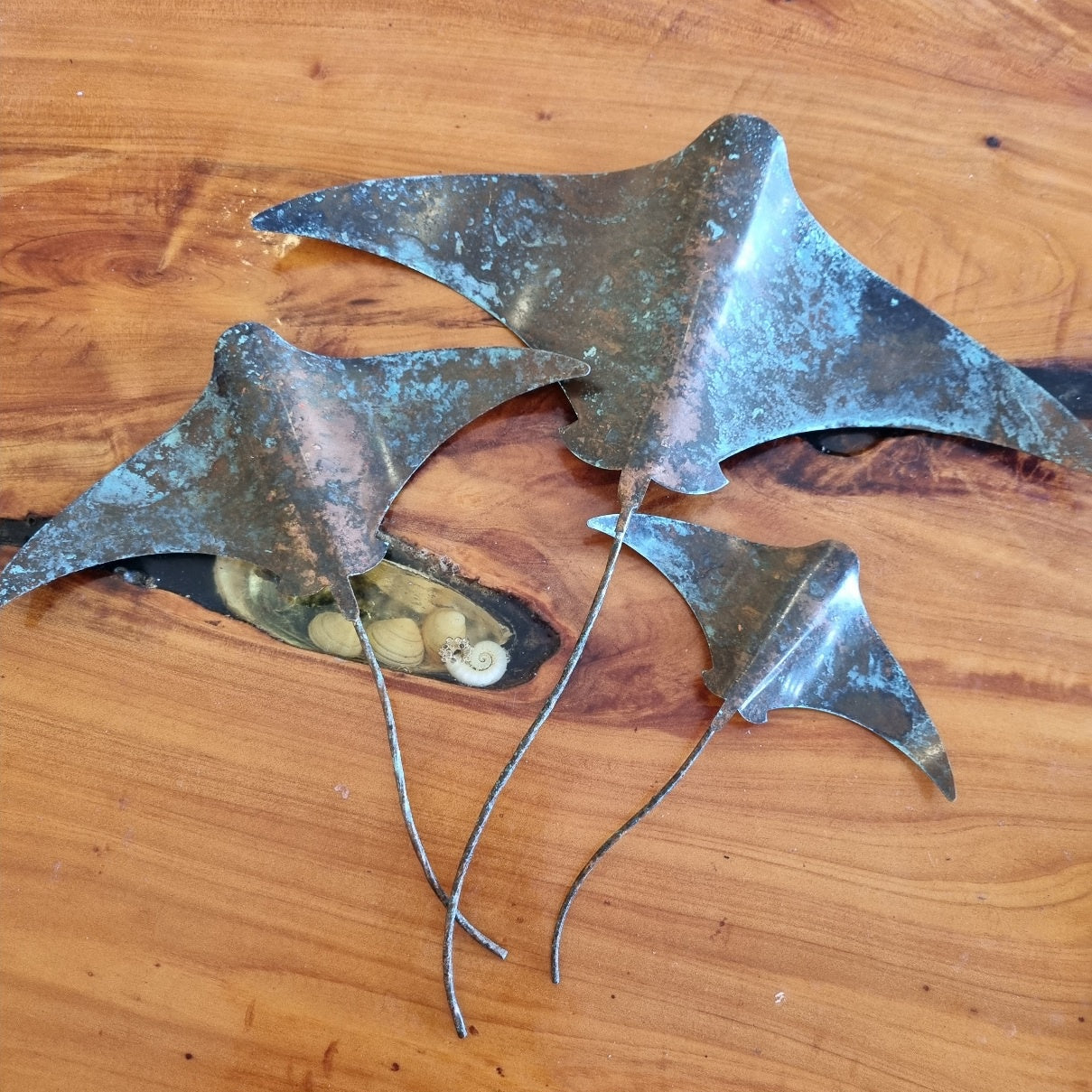 Stingray set of 3