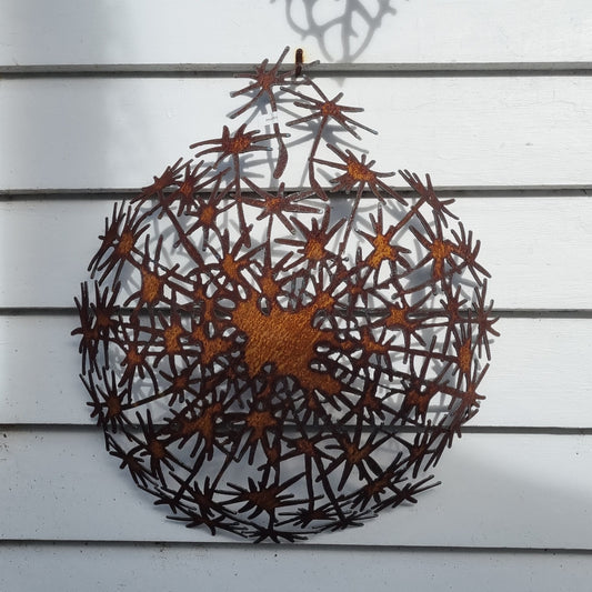 Wall Dandelion