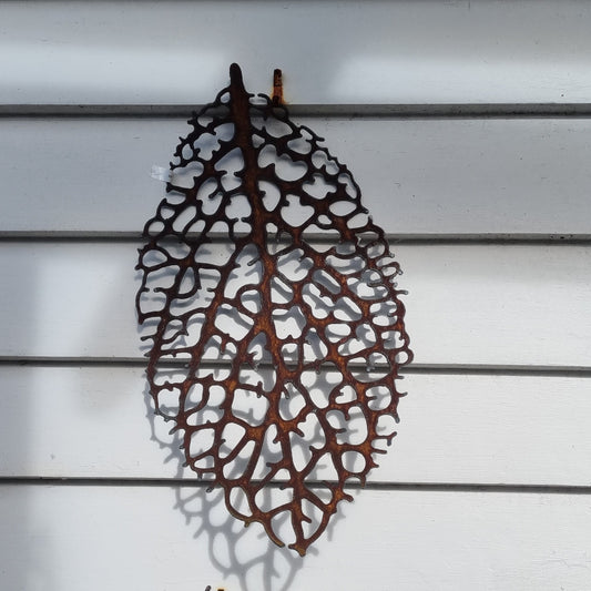 Skeleton Leaf