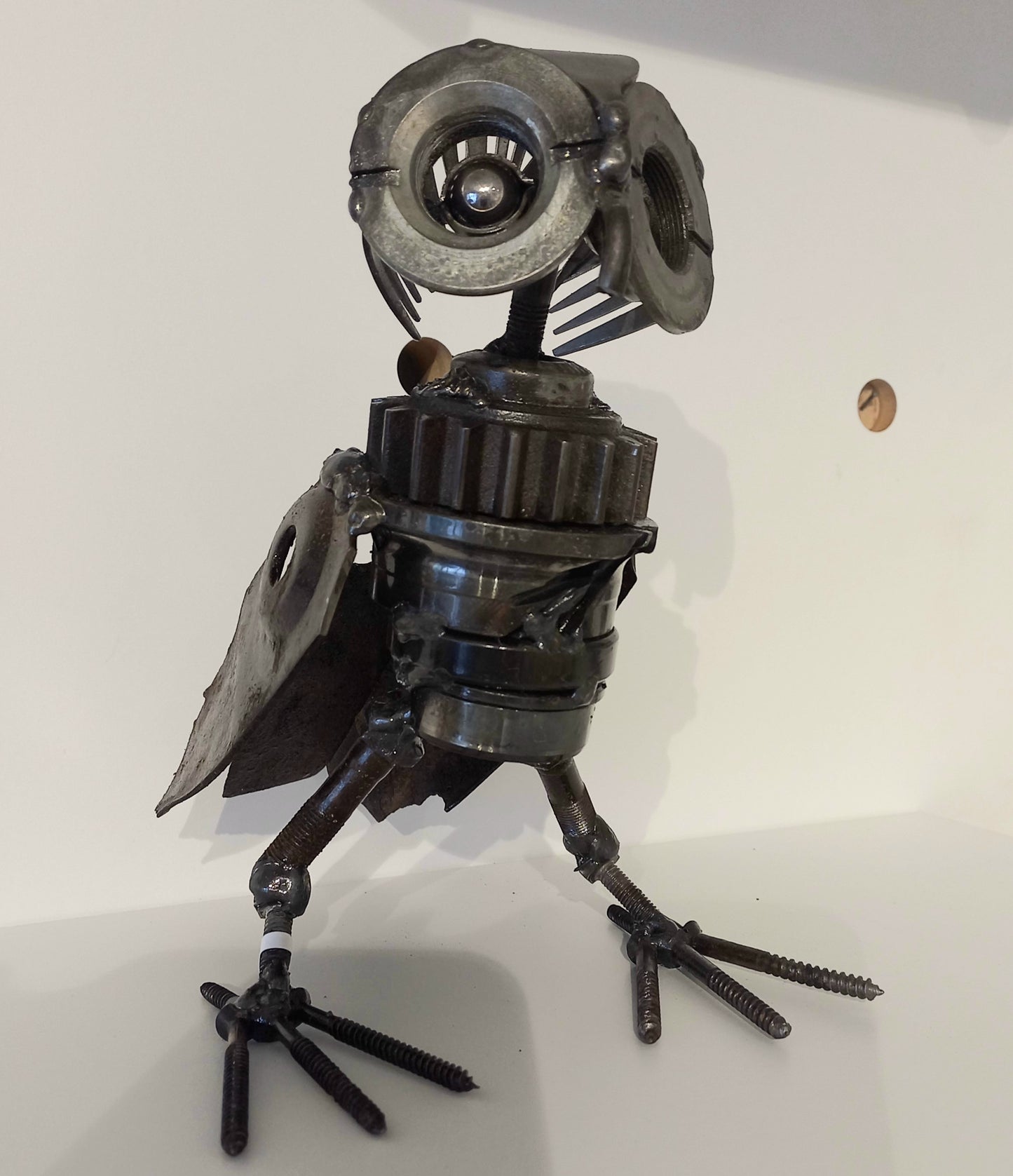 Inquisitive Owl Medium