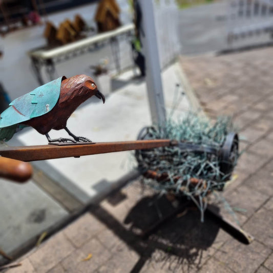 Kaka on Lawnmower