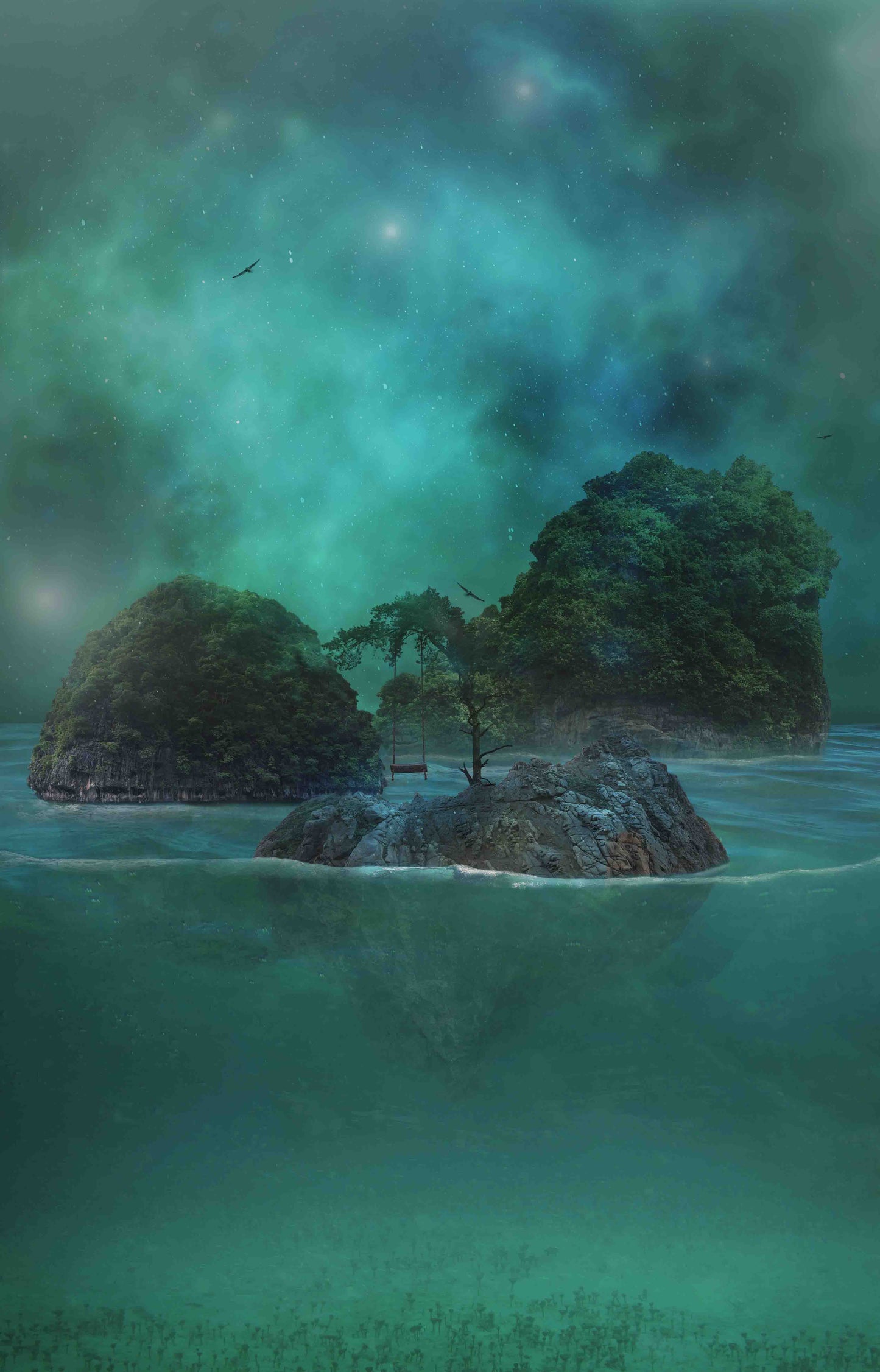 Escape Turtleback Island 5/6