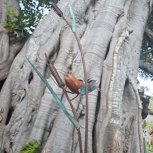 Wheat Sparrow