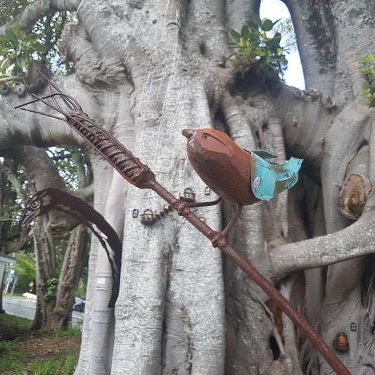 Stem Sparrow