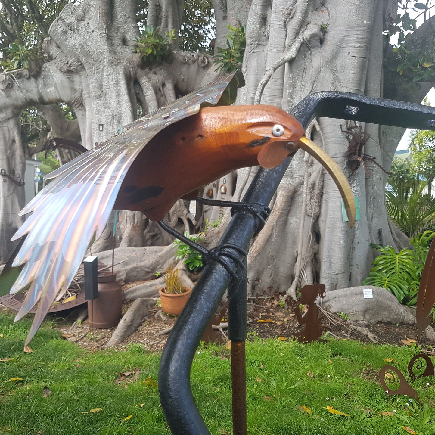Huia on Bracket