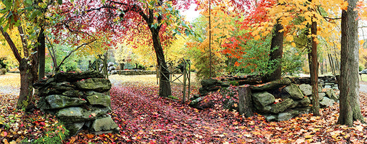 Arrowtown Junction, South Island, New Zealand