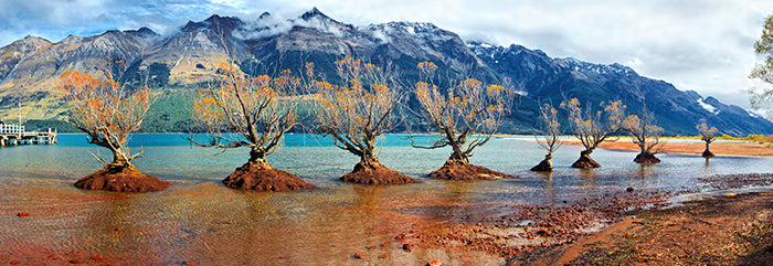 Glenorchy Shores, South Island, New Zealand