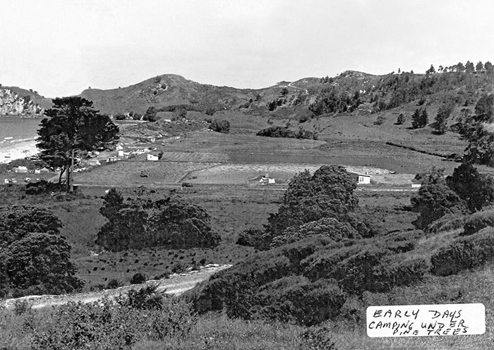 Hahei campsite 1950's