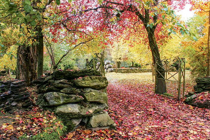Junction Gate, South Island, New Zealand