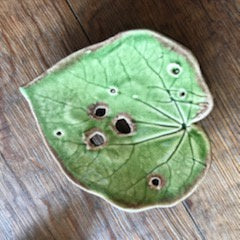 Kawakawa Ceramic Soap-dish