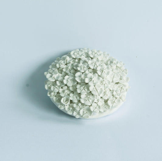 Floral Wall art