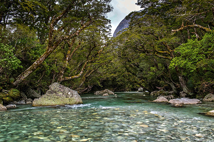 Milford Track, South Island, New Zealand