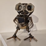 Inquisitive owl small