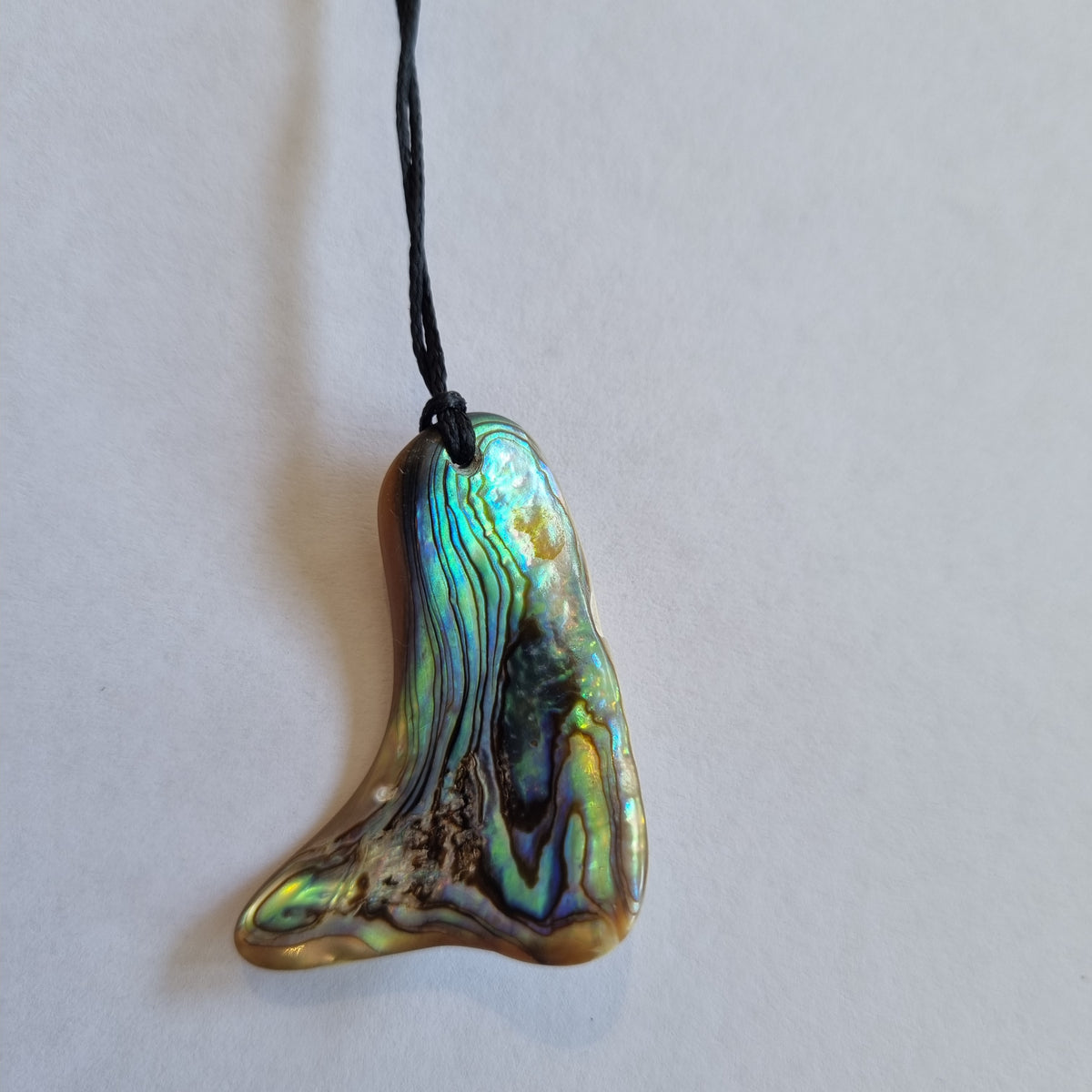 Paua Necklace on Cord