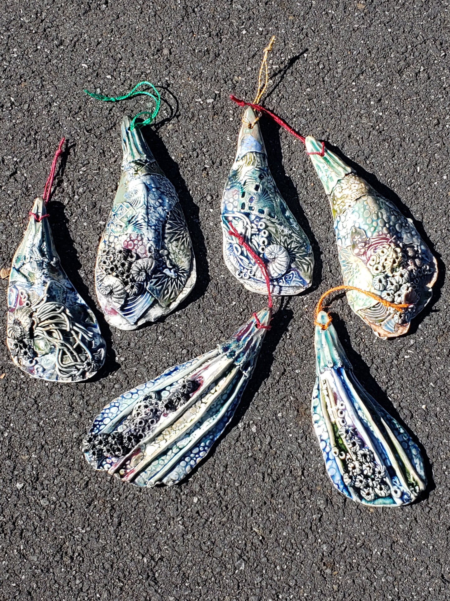 Mussels shells