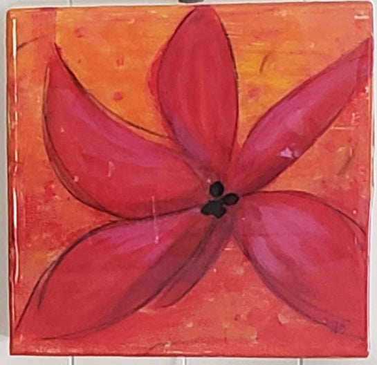 Scarlet Kaka Beak II