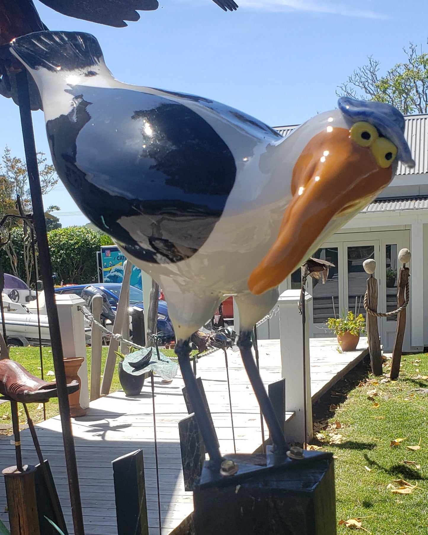 Seagull  with Hat