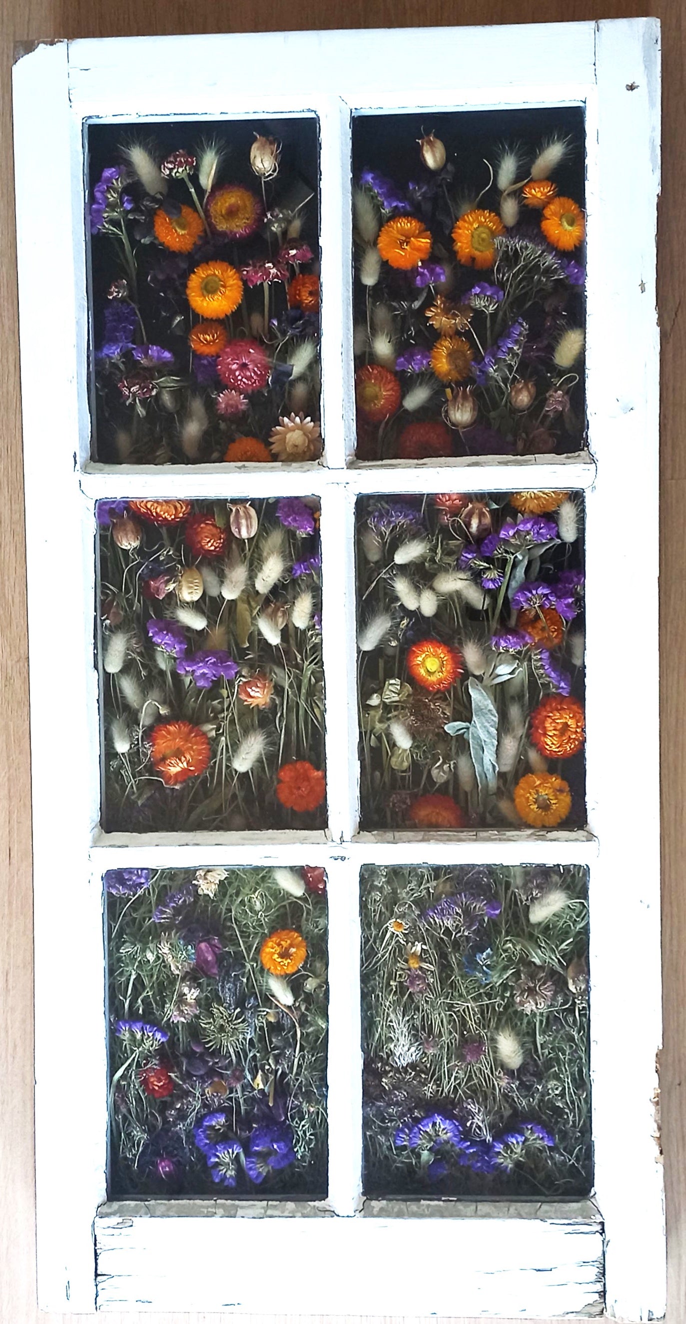 Riot of Colour