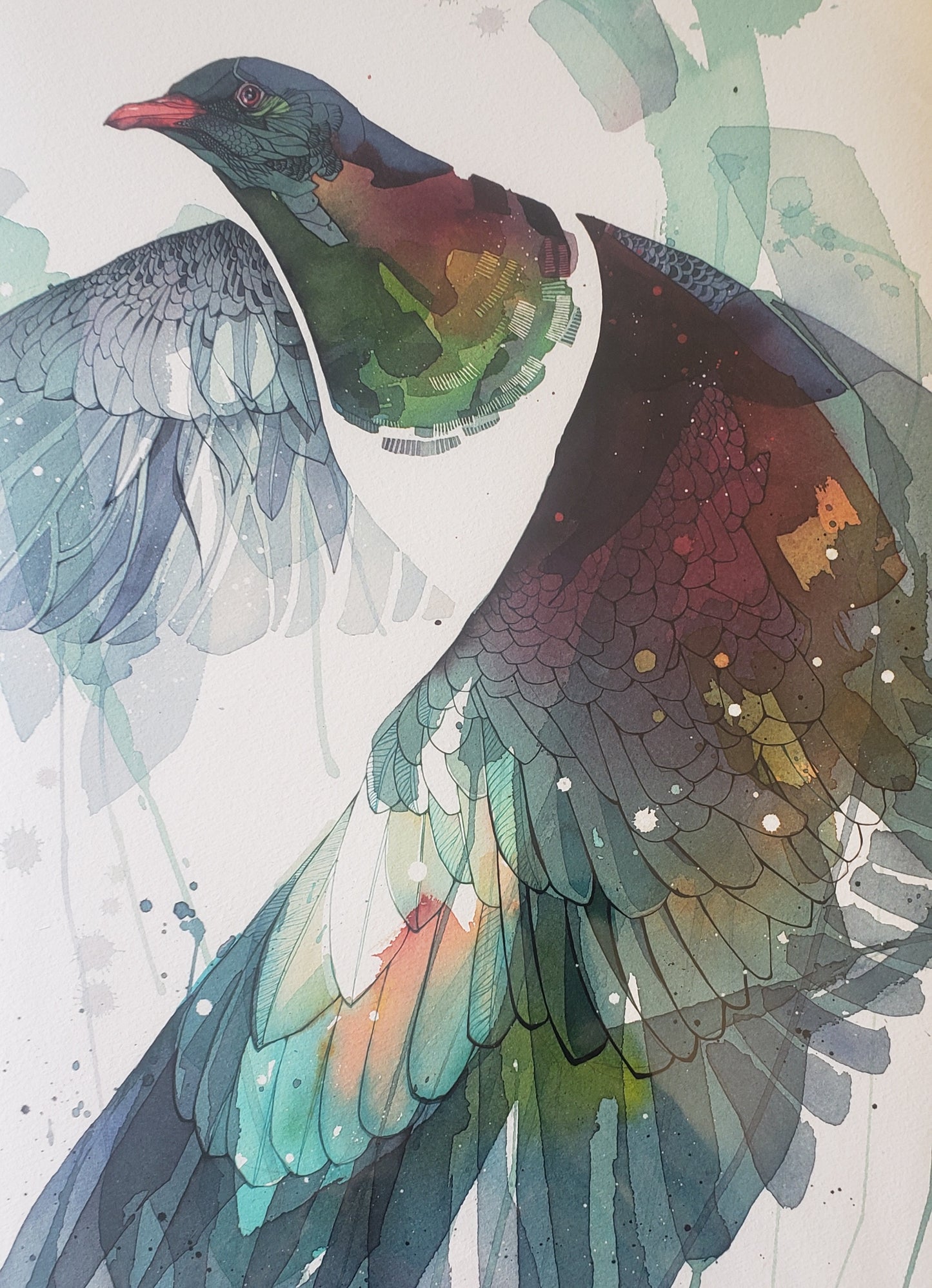 Watercolour Wing Kereru
